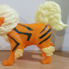 Arcanine - pikkukuva 1