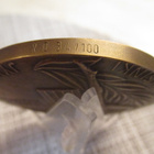 Jyväskylän Yliopisto mitali 1882-1982 . - pikkukuva 3