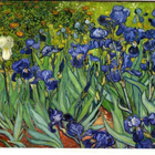 kortti ** Gogh Vincent van Luonnossa - erilaisia - pikkukuva 4