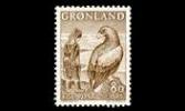 Grönlanti 73 ** Satuja kotka ja tyttö (1969)
