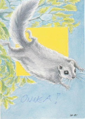Postikortti, ELÄIMET, LIITO-ORAVA