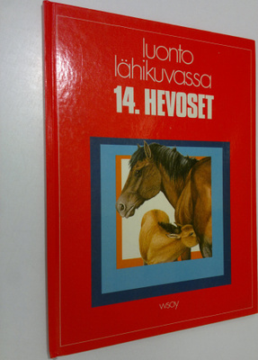 Neil Thomson : Hevoset