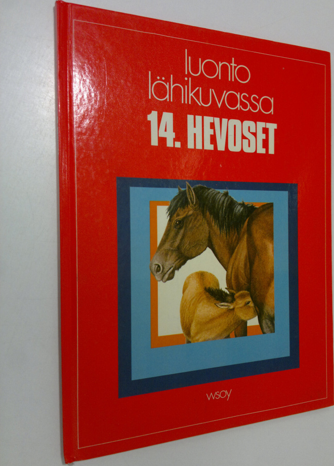 Neil Thomson : Hevoset