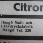 Hangö Malt Hangon Mallas PUOLUKKAPORE etikett etiketti - pikkukuva 4