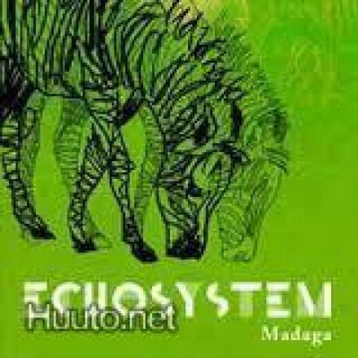 ECHOSYSTEM - Madaga