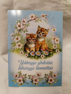 Kissa kortti, kulkematon.