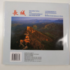 The great wall - pikkukuva 2