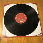 Mark Lanegan band phantom radio  LP - pikkukuva 3