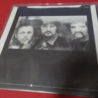 THE PIRATES - ALL IN IT TOGETHER EX+/EX 7'' SINGLE - pikkukuva 2