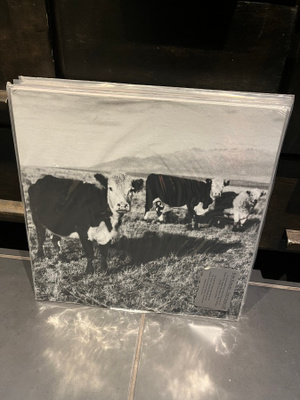 Mark Kozelek -  The Finally LP