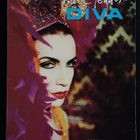 Annie Lennox: Diva (Nuottivihko. kirjastopoisto) - pikkukuva 1