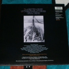 MATT DEIGHTON ~ You Are The Healer ~ LP - pikkukuva 2