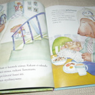 Joan Rankin Turremurren jännä päivä - pikkukuva 2