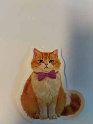 Kissa tarra.