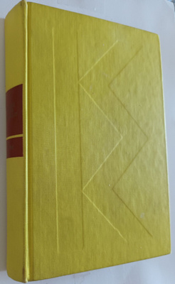 John Irving: Kaikki isäni hotellit, Tammi 1981