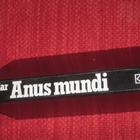 Anus mundi : Auschwitzin vanki n:o 290 / Kielar, Wieslaw - pikkukuva 1