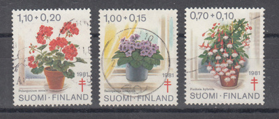 1981 Tuberkuloosi