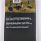 Jorma Koski : Hanhipiilo - pikkukuva 2
