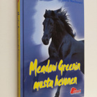 Anne Louise Mac Donald : Meadow Greenin musta hevonen - pikkukuva 1