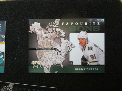 2008-09 UPPER DECK FAVORITE SONS BRAD RICHARDS