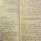Suomen sodan lauluja vuodelta 1918 - pikkukuva 5