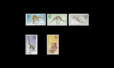 DDR 3324-8 ** Luonnonhistoriallinen museo, dinosauruksia (19