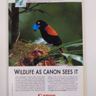 National Geographic vuosikerta 2007 (1-12) - pikkukuva 2