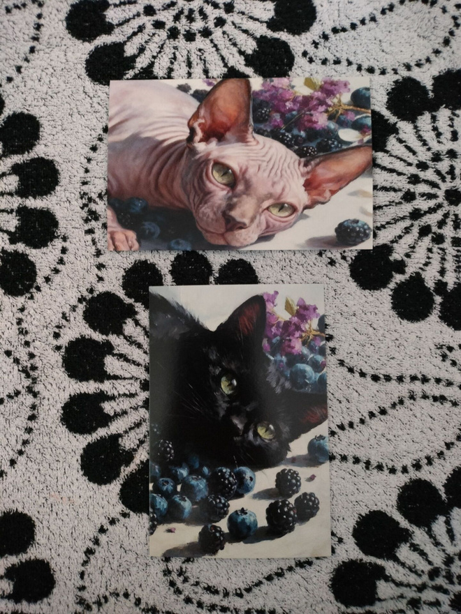 ~Kissa kortti~ 2kpl