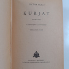 Victor Hugo : Kurjat 1 - pikkukuva 3