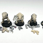 WH40K - 5kpl Genestealer Hybdrids (Rogue Trader) [K70] - pikkukuva 1