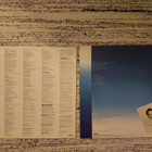 Whitney Houston - Whitney LP (1987) - pikkukuva 2