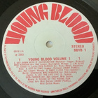 VARIOUS - Young Blood Volume 1 - pikkukuva 3