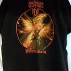 DESTRÖYER 666 - PHOENIX RISING T- PAITA XXL KOKO (W) - pikkukuva 1