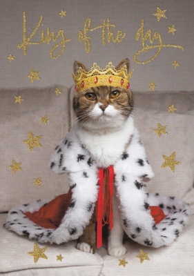 Päivän kuningas - King of the Day