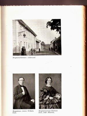 Horn, Vivi: Du lyckliga tid (1880-90-tal)