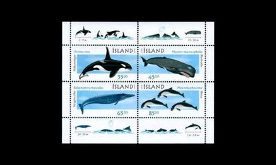 Islanti 905-8BL23 ** Valaita ja delfiinejä (1999)
