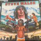 Steve Walsh (Kansas) LP 1980 - pikkukuva 1