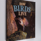 Robert Burton : How Birds Live - pikkukuva 1