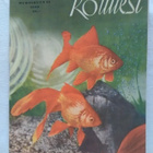 Kotiliesi N:o 8 1950 huhtikuu - pikkukuva 1
