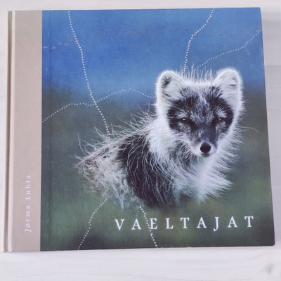 Vaeltajat - Jorma Luhta