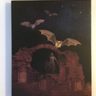 Draculan suuri rakkaus (Blu-ray + DVD) Slipcover (1973) UUSI - pikkukuva 2