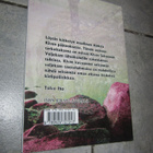 SEIITEMÄN VELJESTÄ - KÄTKETTY OSA ; TOIVO IHO - pikkukuva 2