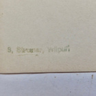 VANHA Valokuva Urheiluparaati Viipuri 1920-l - pikkukuva 2