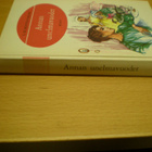 L.M. Montgomery: Annan unelmavuodet - pikkukuva 2