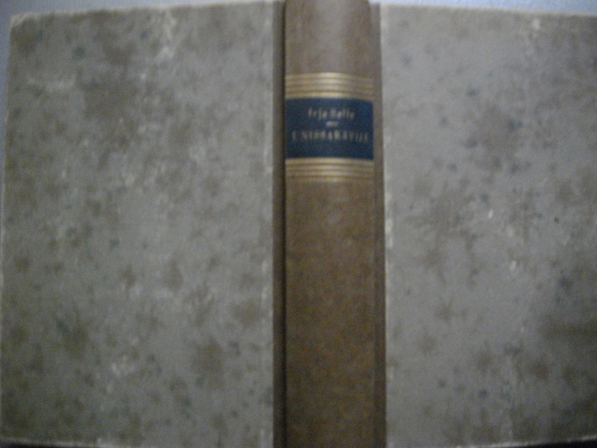 Irja Salla: Unissakävijä (19.3)