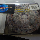 ROBERT PLANT - CALLING TO YOU PROMO CDS - pikkukuva 1