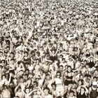 George Michael • Listen Without Prejudice Vol. 1 CD - pikkukuva 1