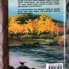 Arvo Ruonaniemi: Kairojen kulkija - pikkukuva 2