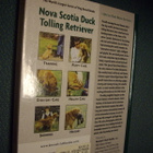 Nova Scotia Duck Tolling Retriever (2005) Sis.postikulut - pikkukuva 2