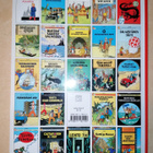 Auringon temppeli Tintin seikkailut 4 - pikkukuva 3